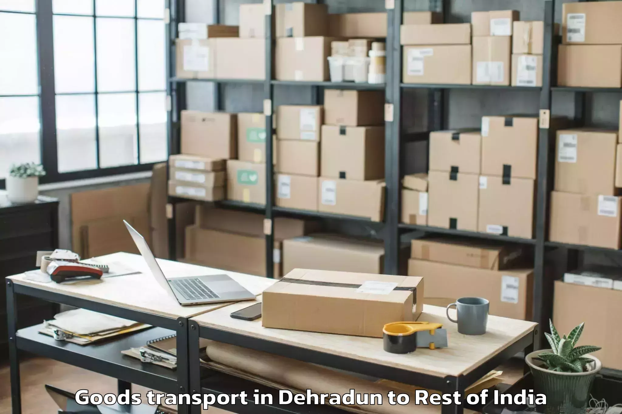 Professional Dehradun to Awantipora Goods Transport